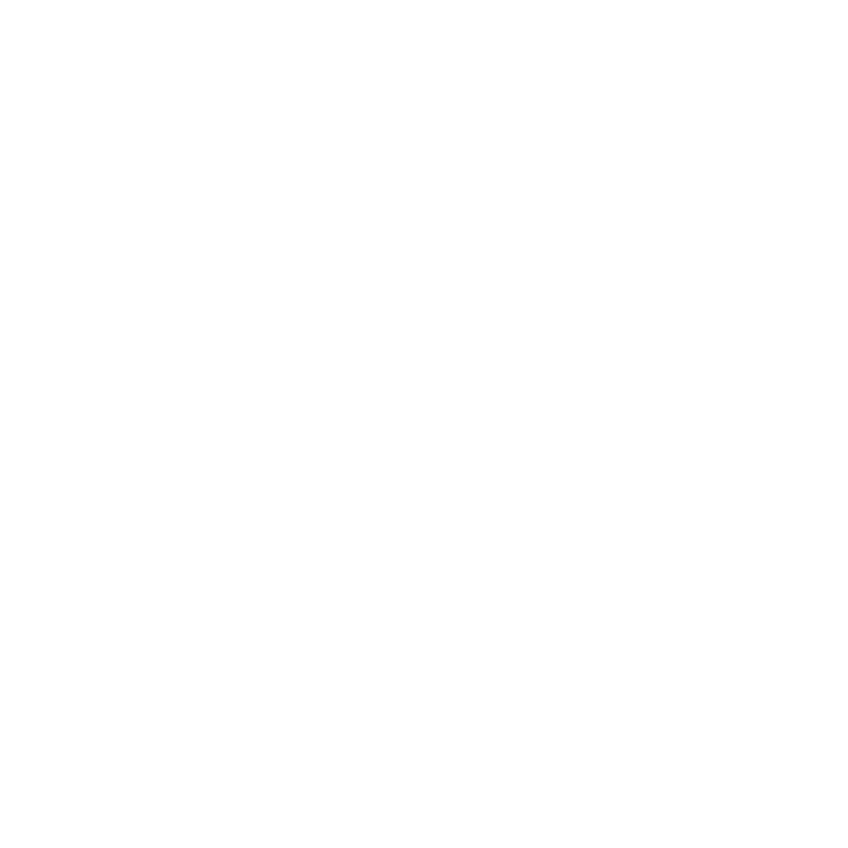 lng croatia logo solo