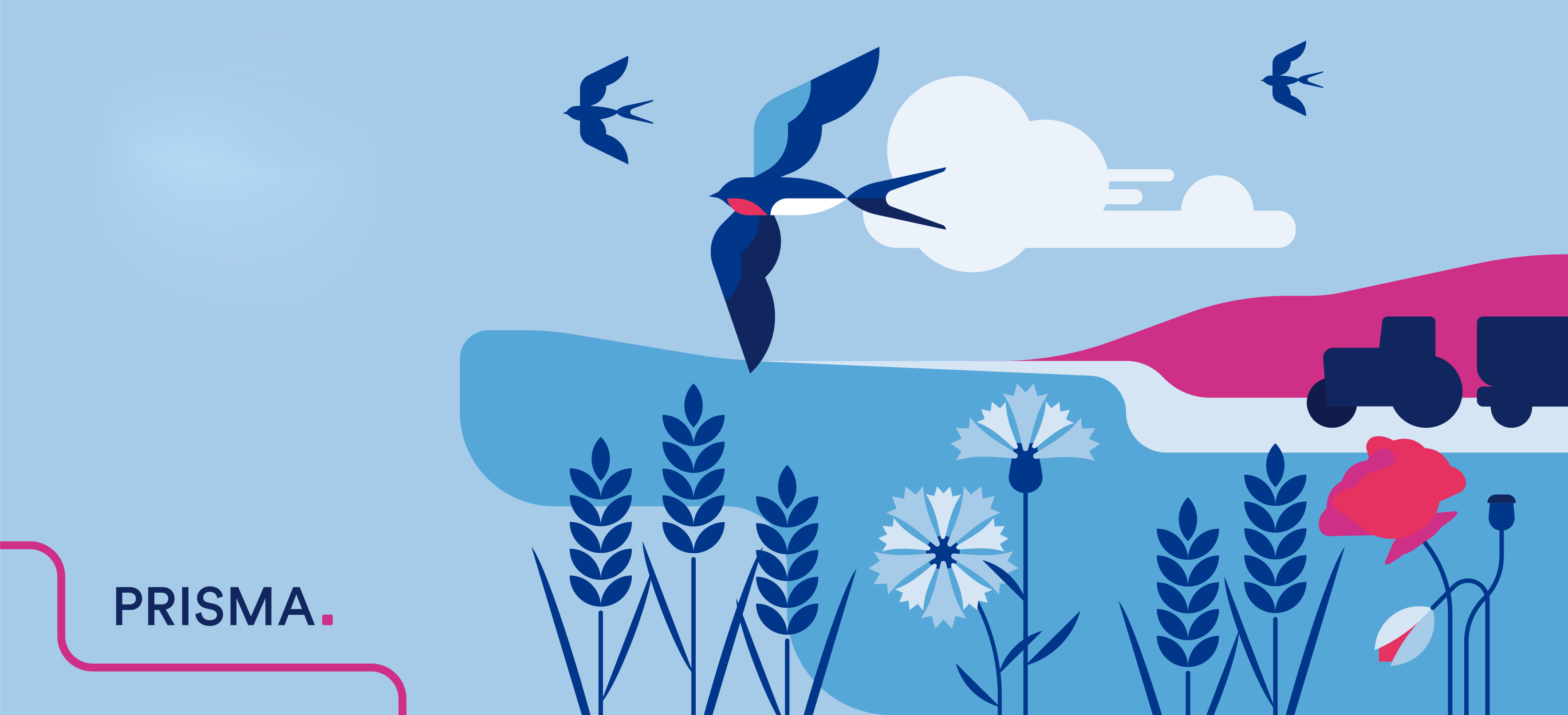June Insights